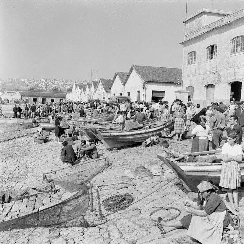 Lang chai o Bo Dao Nha thap nien 1950 qua anh-Hinh-5